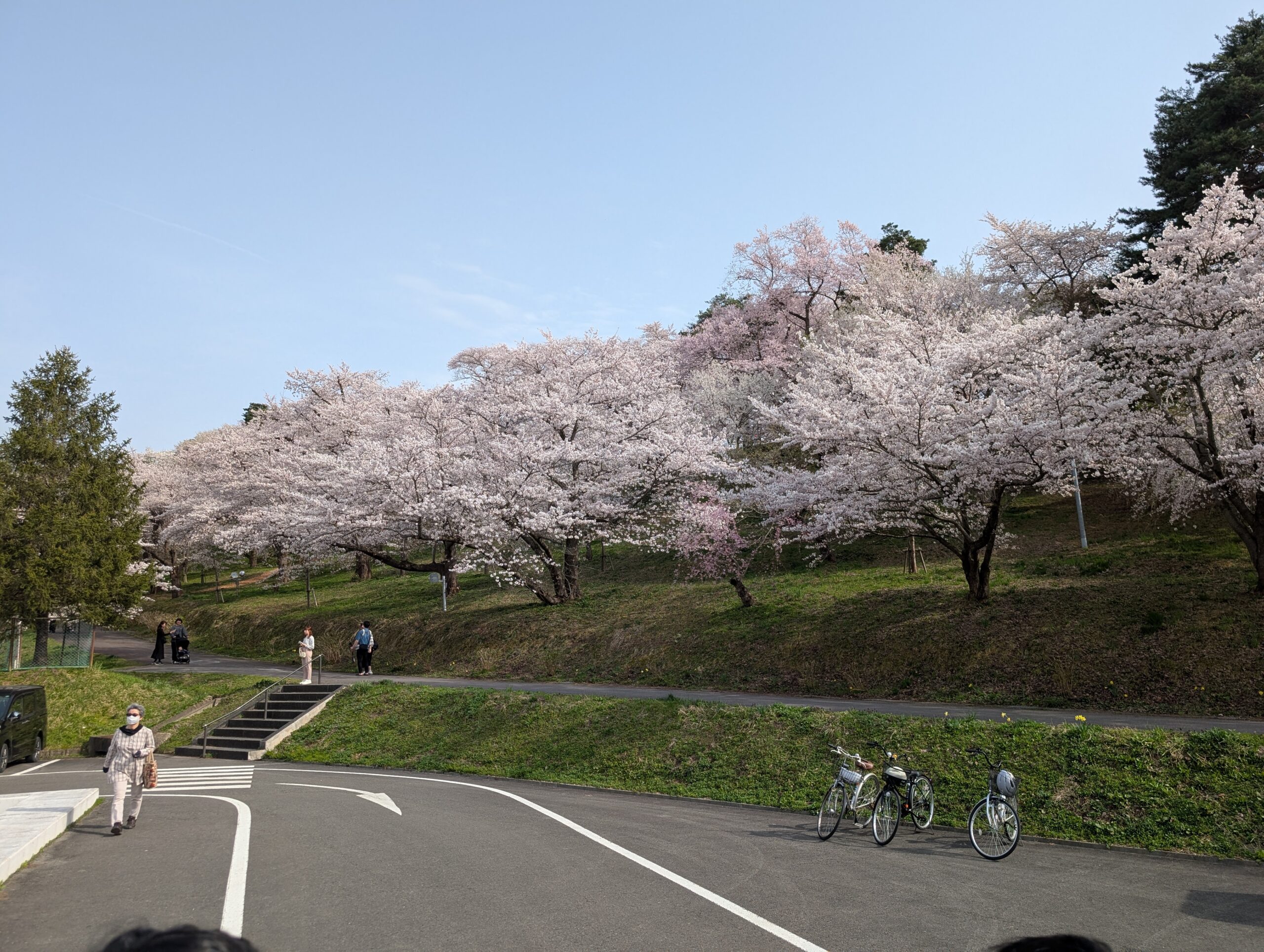 2025年4月19日～20日 お花見会in山形 7